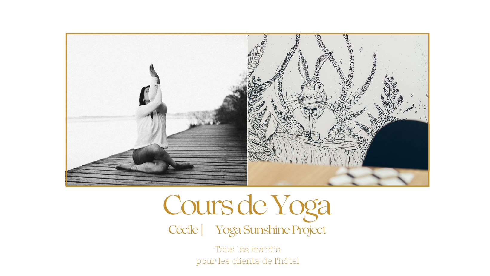 Cours de yoga