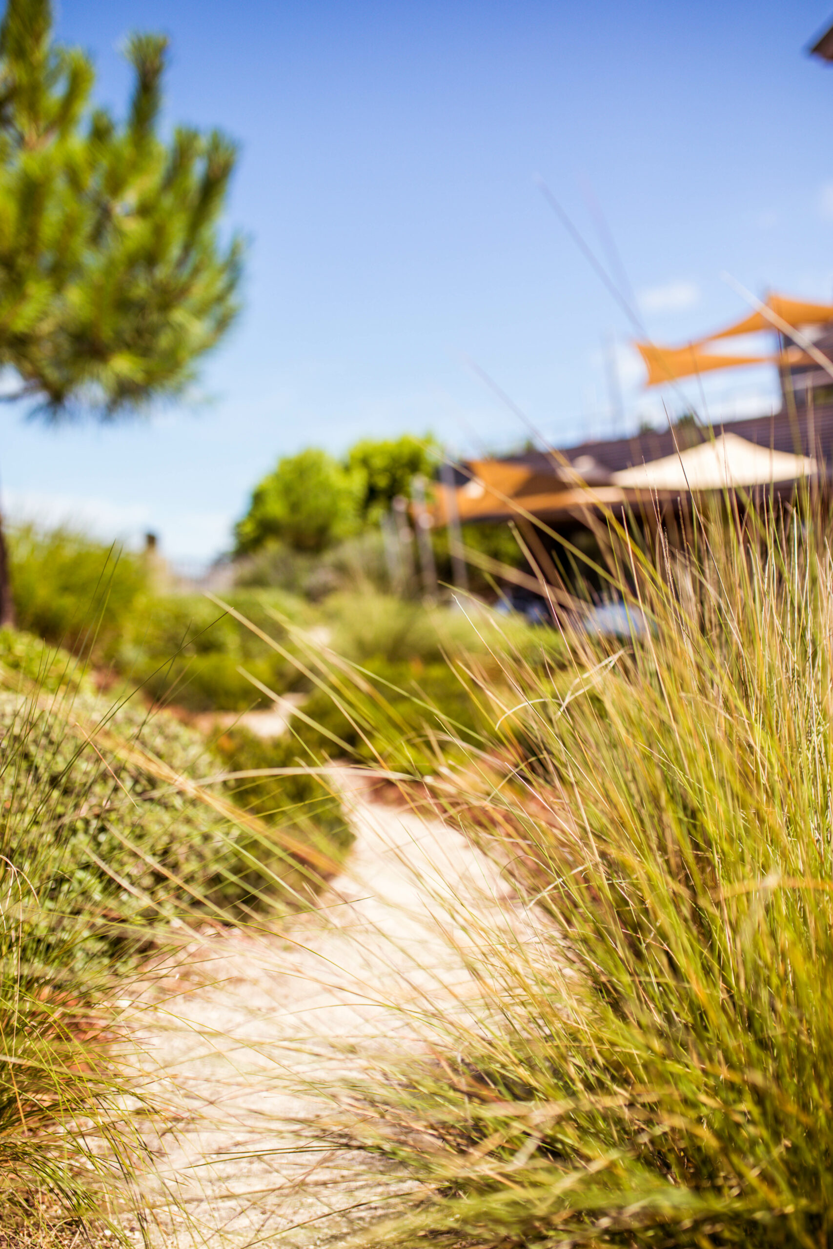 10 ANS VILLA SEREN HOSSEGOR