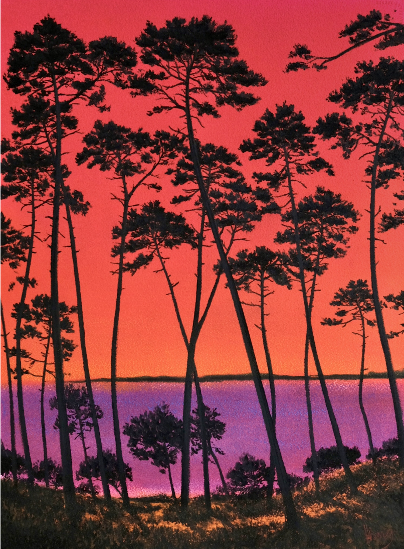 exposition landes hossegor Laurent De Visme